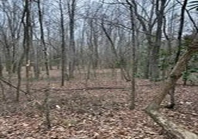 Photo 3 of Land for sale at 0 Center Rd, Cartersville, GA 30121 | MLS# 7764363 | Listing updated on 2026-06-24
