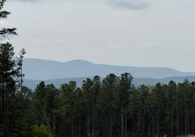 24th image of 1100 Fuller Mountain, Fairmount, GA 30139 | MLS# 7823930