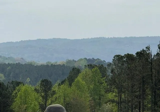 Photo 3 of Land for sale at 1100 Fuller Mountain, Fairmount, GA 30139 | MLS# 7823930 | Listing updated on 2026-09-02