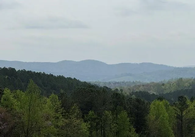 Photo 3 of Land for sale at 1100 Fuller Mountain, Fairmount, GA 30139 | MLS# 7823930 | Listing updated on 2026-09-02