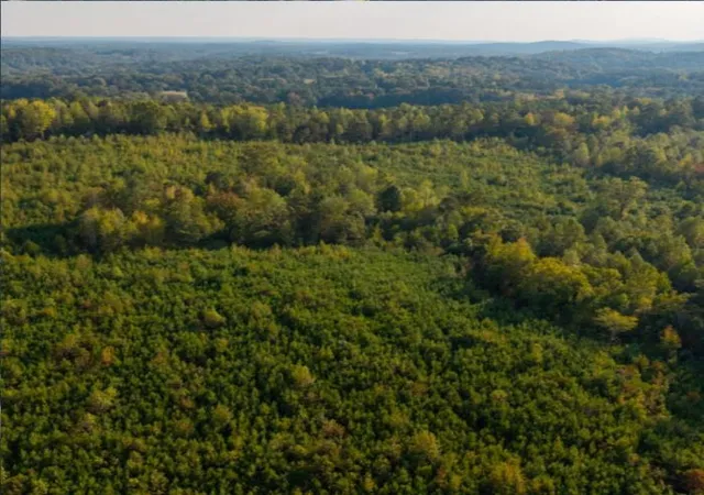 16th image of 0 Santa Claus Rd, Cedartown, GA 30125 | MLS# 7735787