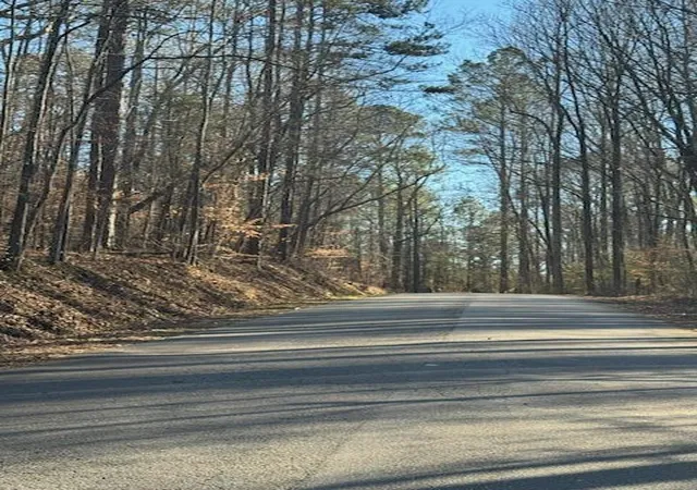 4th image of 0 Santa Claus Rd, Cedartown, GA 30125 | MLS# 7735787