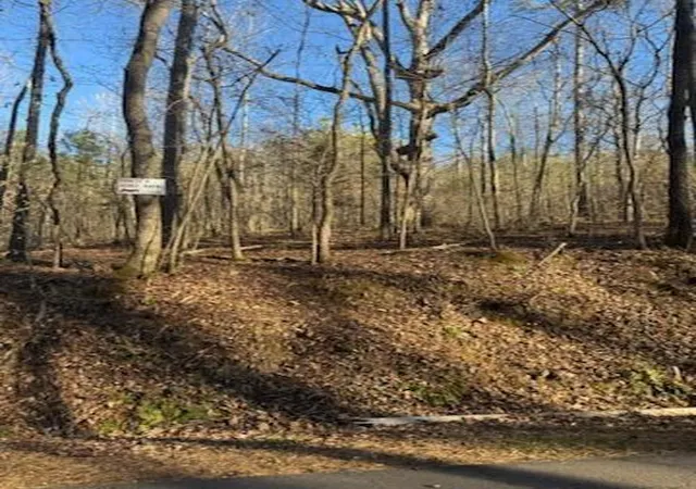 5th image of 0 Santa Claus Rd, Cedartown, GA 30125 | MLS# 7735787