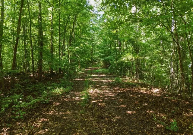 4th image of 3120 Hwy 229, Mansfield, GA 30055 | MLS# 7825819