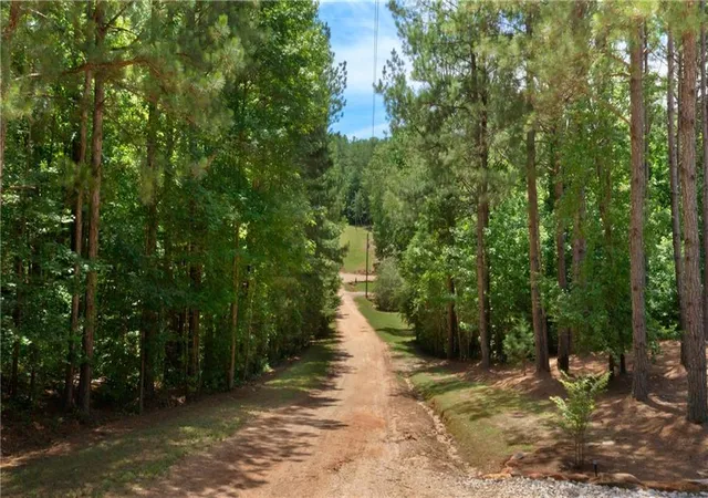 Homes for sale in Wedowee, AL | 1014 County Road 2565, Wedowee, AL 36278 | MLS# 7790770
