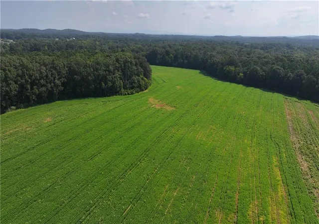 3rd image of 0 Sugar Valley Road, Sugar Valley, GA 30746 | MLS# 7635696