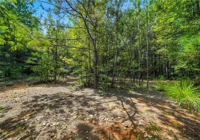 2nd image of 00 Sleepy Hollow Dr, Powder Springs, GA 30127 | MLS# 7639339