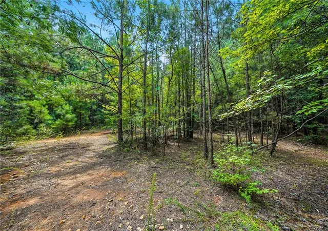 5th image of 00 Sleepy Hollow Dr, Powder Springs, GA 30127 | MLS# 7639339