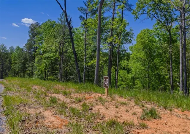 2nd image of Lt 343 Shallow Branch Dr, Jasper, GA 30143 | MLS# 7756691