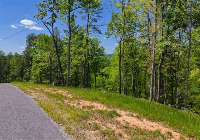 Photo 3 of Land for sale at Lt 343 Shallow Branch Dr, Jasper, GA 30143 | MLS# 7756691 | Listing updated on 2026-08-21
