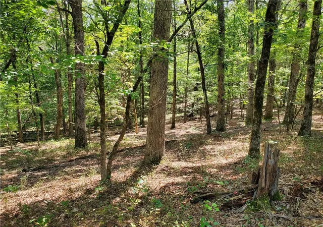 Photo 1 of Sale Pending at 0 Asbury Ml Rd, Cleveland, GA 30528 | MLS# 7644389 | Listing updated on 2026-02-06