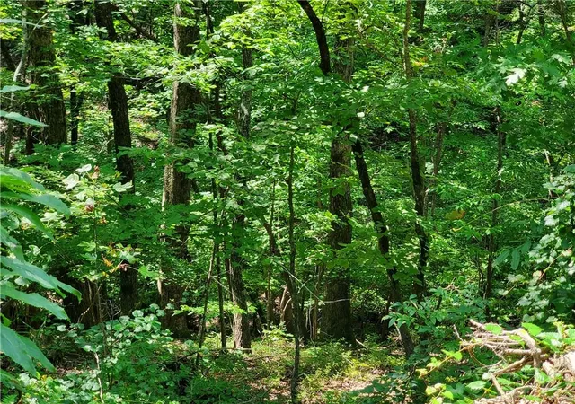 Photo 3 of Sale Pending at 0 Asbury Ml Rd, Cleveland, GA 30528 | MLS# 7644389 | Listing updated on 2026-02-06