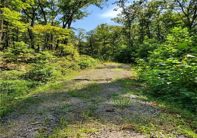 Photo 3 of Sale Pending at 0 Asbury Ml Rd, Cleveland, GA 30528 | MLS# 7644389 | Listing updated on 2026-02-06