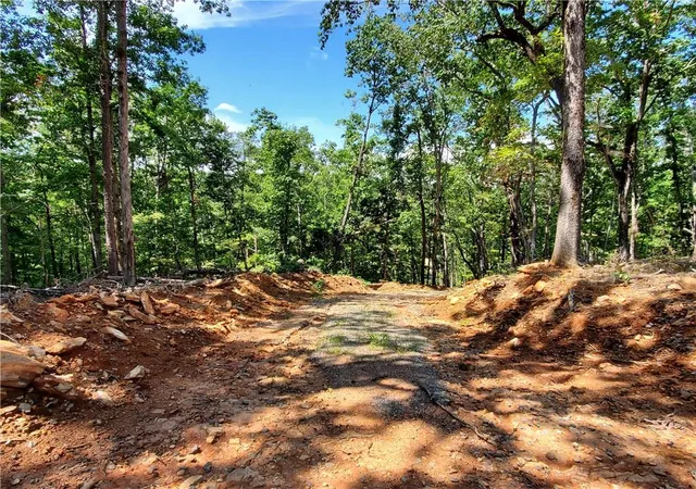 Photo 4 of Sale Pending at 0 Asbury Ml Rd, Cleveland, GA 30528 | MLS# 7644389 | Listing updated on 2026-02-06