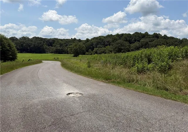 Photo 3 of Land for sale at 0 Middle Frk Ln, Carnesville, GA 30521 | MLS# 7811810 | Listing updated on 2026-08-01