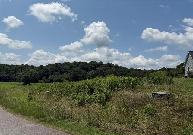 Photo 3 of Land for sale at 0 Middle Frk Ln, Carnesville, GA 30521 | MLS# 7811810 | Listing updated on 2026-08-01
