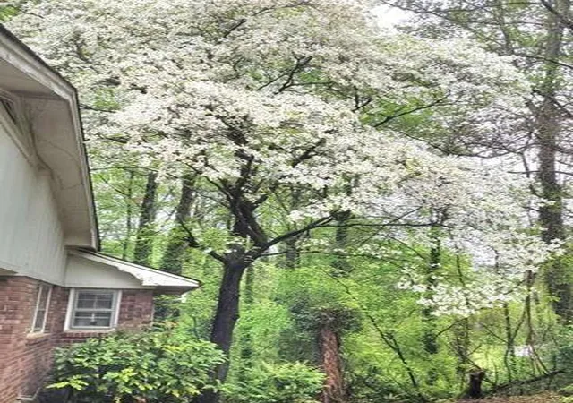 5th image of 1256 E Piedmont Rd, Marietta, GA 30062 | MLS# 7797414