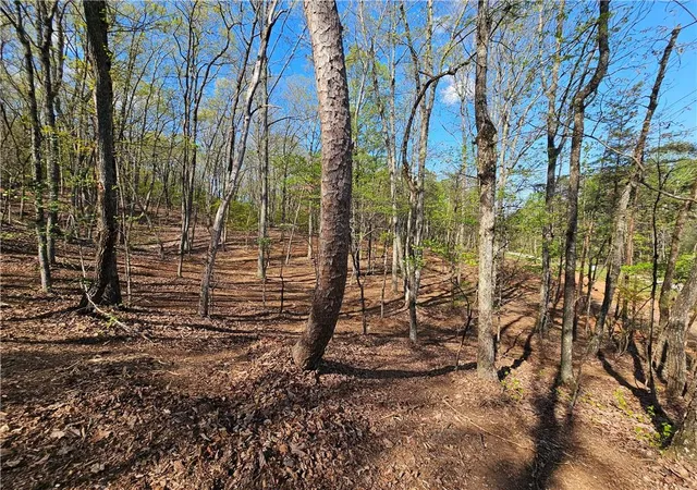 35th image of 000 Old Federal Rd, Dawsonville, GA 30534 | MLS# 7779945