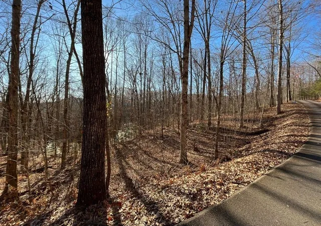 Photo 1 of Land for sale at Lot #2 Forest Canopy Way, Clayton, GA 30525 | MLS# 7829936 | Listing updated on 2026-09-01