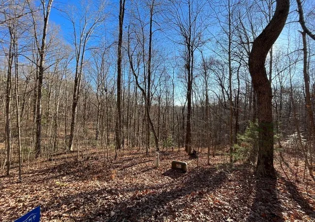 Photo 3 of Land for sale at Lot #2 Forest Canopy Way, Clayton, GA 30525 | MLS# 7829936 | Listing updated on 2026-09-01
