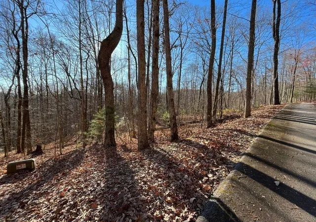 Photo 4 of Land for sale at Lot #2 Forest Canopy Way, Clayton, GA 30525 | MLS# 7829936 | Listing updated on 2026-09-01