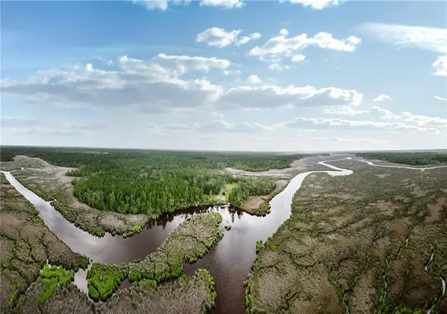 Photo 1 of Land for sale at 0 Iron Safe Rd, Brunswick, GA 31523 | MLS# 7777300 | Listing updated on 2026-05-28