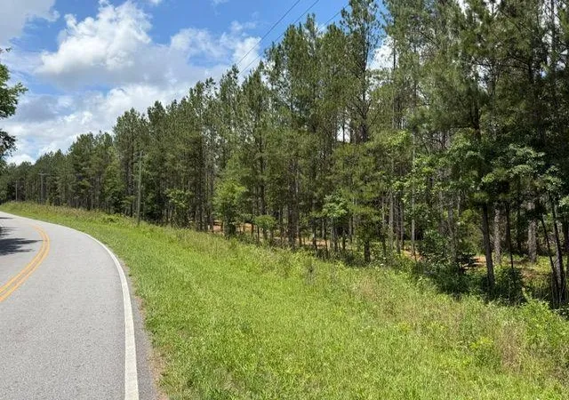 Homes for sale in Taylorsville, GA | 0 Iron Hill Road, Taylorsville, GA 30178 | MLS# 7779474