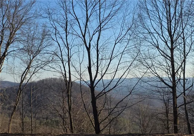 Photo 1 of Land for sale at 0 Big Creek Rd, Ellijay, GA 30536 | MLS# 7654771 | Listing updated on 2026-06-26