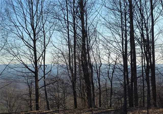 Photo 26 of Land for sale at 0 Big Creek Rd, Ellijay, GA 30536 | MLS# 7654771 | Listing updated on 2026-06-26