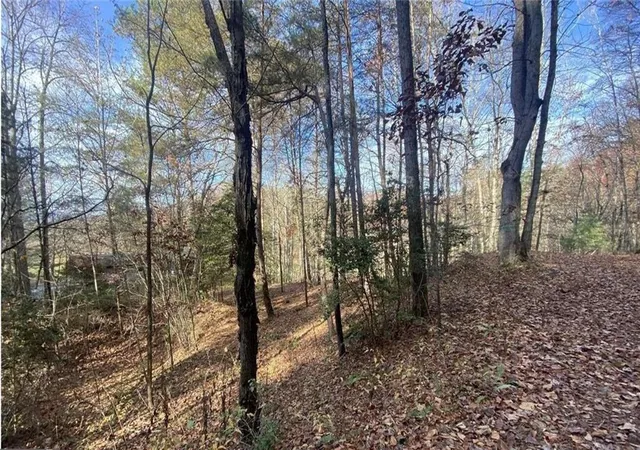 4th image of 1 Barefoot Hills, Hiawassee, GA 30546 | MLS# 7756315
