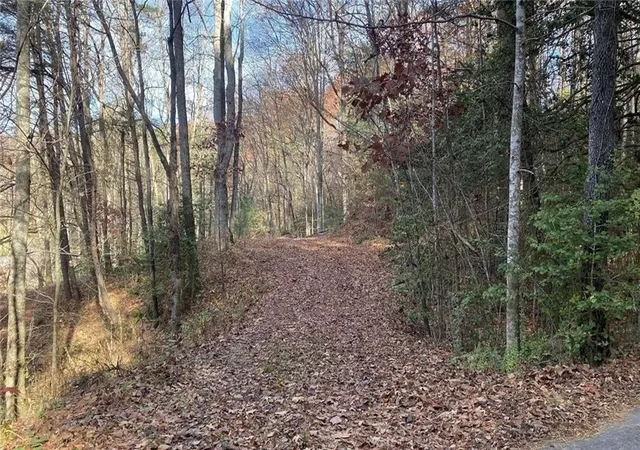 5th image of 1 Barefoot Hills, Hiawassee, GA 30546 | MLS# 7756315