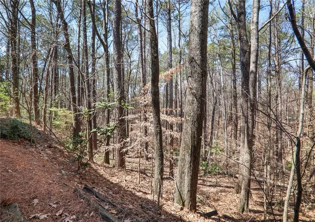 19th image of 210 Woodcliff Dr, Sandy Springs, GA 30350 | MLS# 7812636