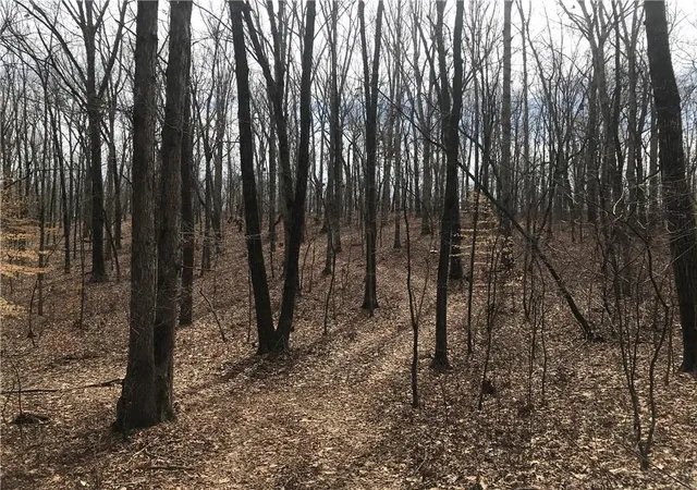 Photo 3 of Land for sale at 2255 Mountain Rd, Alpharetta, GA 30004 | MLS# 5612715 | Listing updated on 2026-06-25