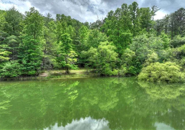 4th image of 102 Captains Cvs, Blairsville, GA 30512 | MLS# 7804738