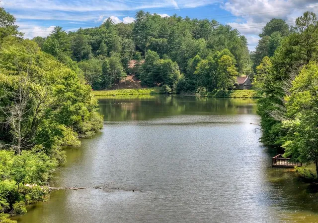 61st image of 160 Adams Cir, Mineral Bluff, GA 30559 | MLS# 7804163