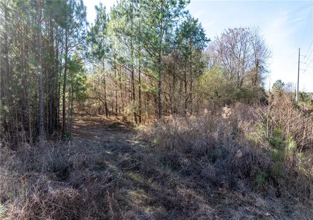 Photo 3 of Land for sale at 2071 Leslie Ml Rd, Greensboro, GA 30642 | MLS# 7700531 | Listing updated on 2026-08-20