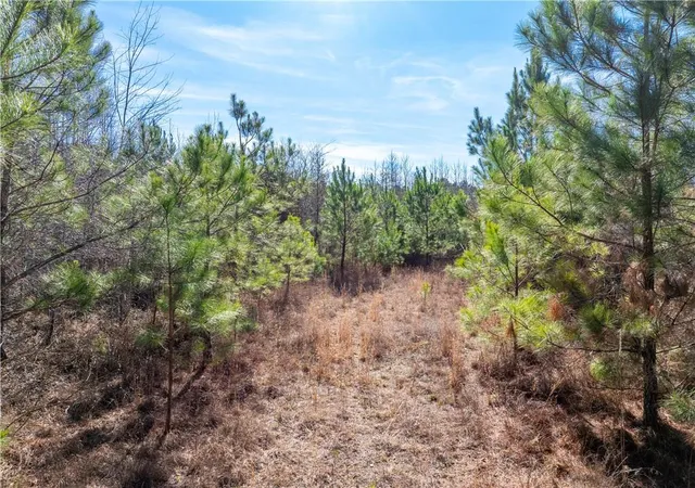 Photo 3 of Land for sale at 2071 Leslie Ml Rd, Greensboro, GA 30642 | MLS# 7700531 | Listing updated on 2026-08-20