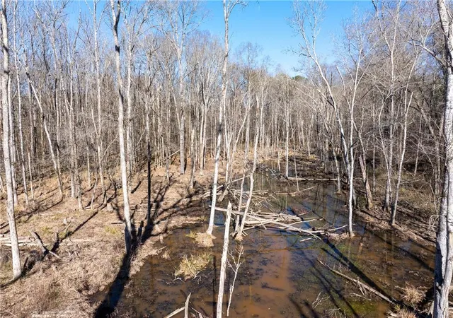Photo 4 of Land for sale at 2071 Leslie Ml Rd, Greensboro, GA 30642 | MLS# 7700531 | Listing updated on 2026-08-20