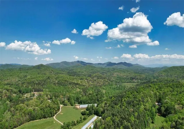 5th image of 210 Shade Tree Ln, Mineral Bluff, GA 30559 | MLS# 7763015