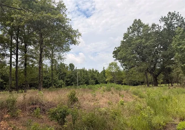 Homes for sale in Piedmont, AL | Lot 60 County Road 32, Piedmont, AL 36272 | MLS# 7804968