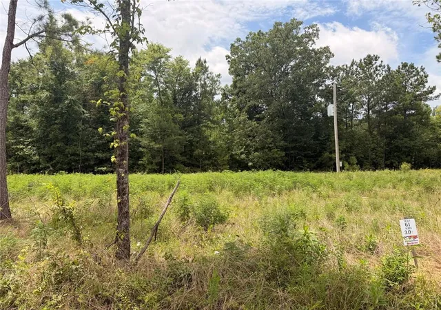 Homes for sale in Piedmont, AL | Lot 60 County Road 32, Piedmont, AL 36272 | MLS# 7804968