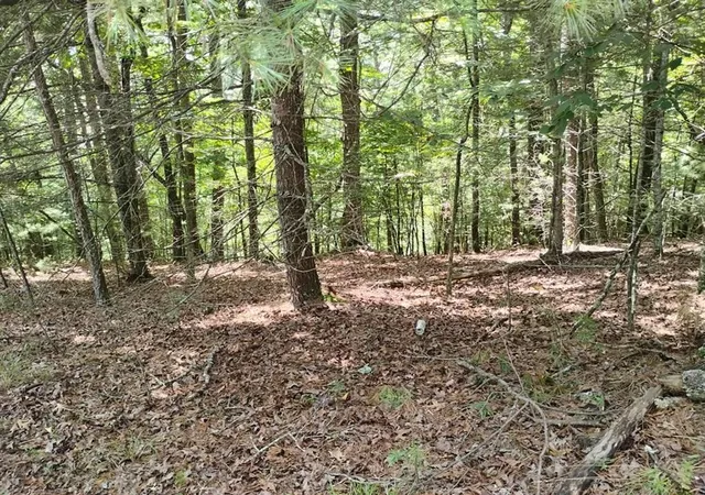 Photo 1 of Land for sale at 0 Crystal Ln, Ellijay, GA 30540 | MLS# 7808550 | Listing updated on 2026-07-22