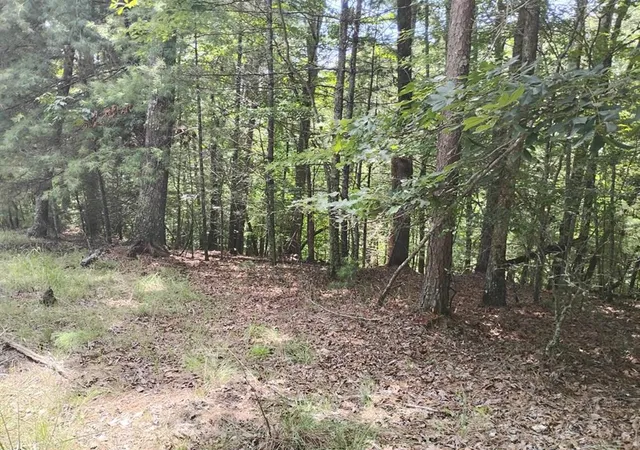 Photo 2 of Land for sale at 0 Crystal Ln, Ellijay, GA 30540 | MLS# 7808550 | Listing updated on 2026-07-22