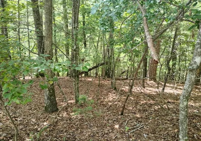 Photo 3 of Land for sale at 0 Crystal Ln, Ellijay, GA 30540 | MLS# 7808550 | Listing updated on 2026-07-22