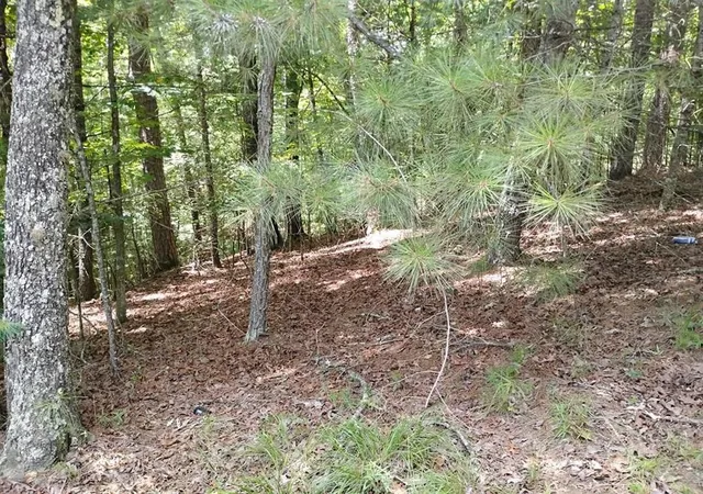 Photo 4 of Land for sale at 0 Crystal Ln, Ellijay, GA 30540 | MLS# 7808550 | Listing updated on 2026-07-22