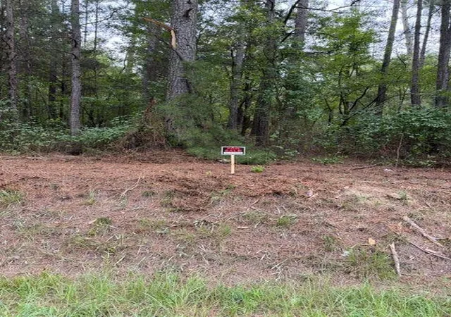 1st image of 0 Iron Hill Road Lot 3, Taylorsville, GA 30178 | MLS# 7816037