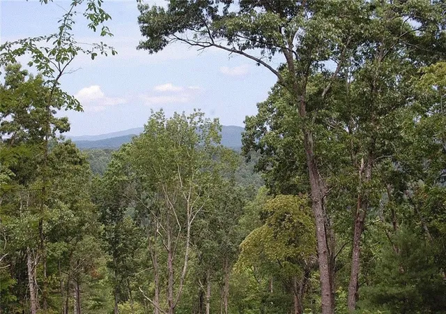 Photo 1 of Land for sale at 450 Back Pine Way, Ellijay, GA 30536 | MLS# 7850528 | Listing updated on 2026-10-20