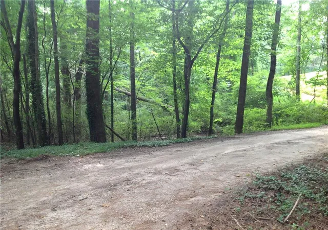 4th image of 0 Osborne Rd, Flowery Branch, GA 30542 | MLS# 7091999