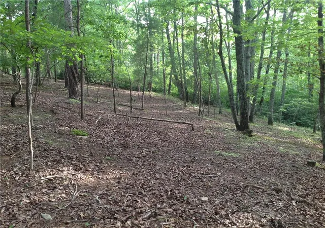 5th image of 0 Osborne Rd, Flowery Branch, GA 30542 | MLS# 7091999
