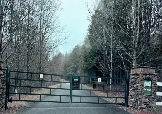Photo 1 of Land for sale at 807 E Ridge Ln, Ellijay, GA 30536 | MLS# 7739366 | Listing updated on 2026-06-08